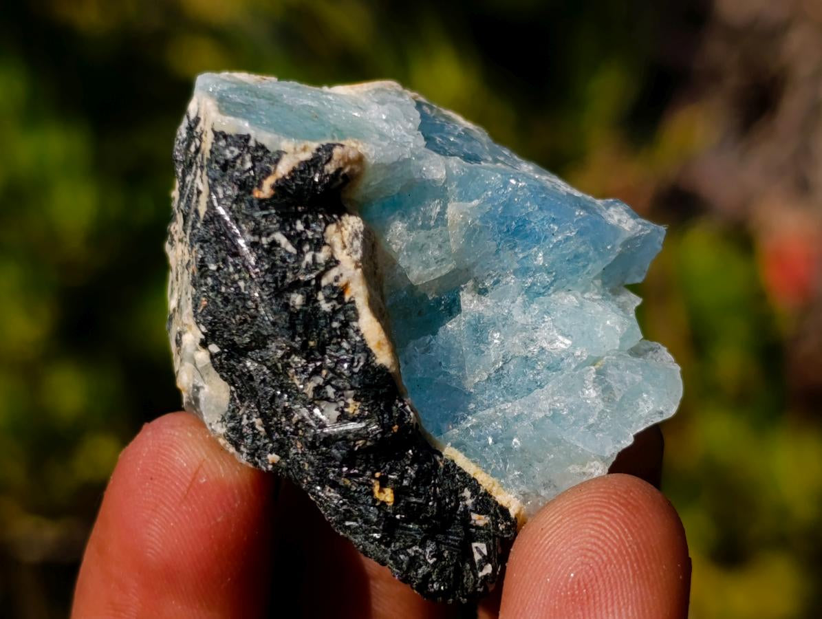 Natural Rare Aquamarine in Black Tourmaline Specimens x 70 From Karibib, Namibia - Toprock Gemstones and Minerals 