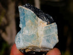 Natural Rare Aquamarine in Black Tourmaline Specimens x 70 From Karibib, Namibia - Toprock Gemstones and Minerals 