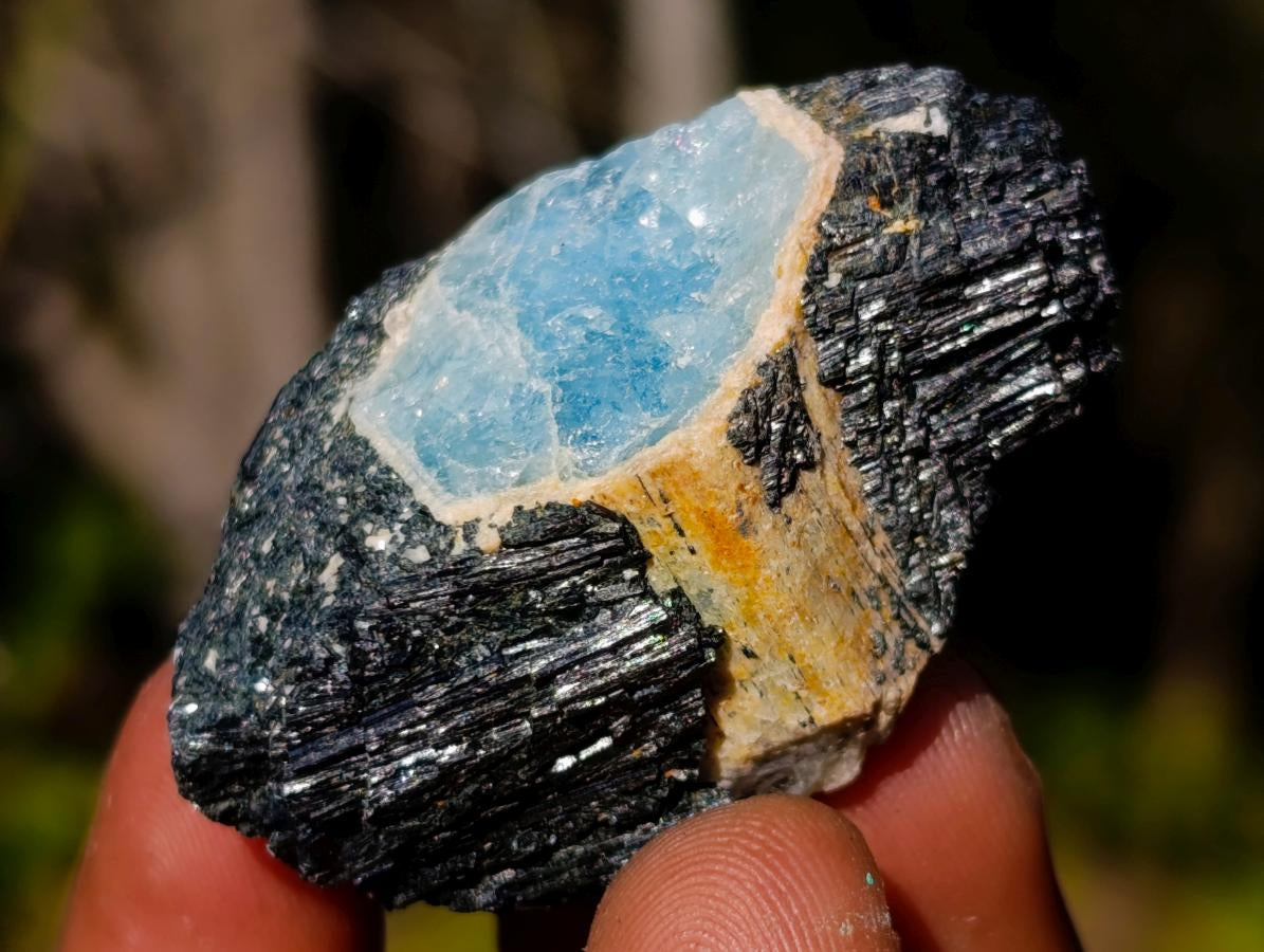 Natural Rare Aquamarine in Black Tourmaline Specimens x 70 From Karibib, Namibia - Toprock Gemstones and Minerals 