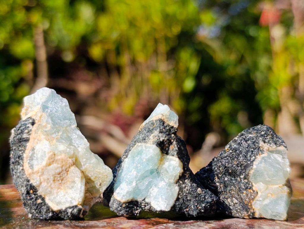 Natural Rare Aquamarine in Black Tourmaline Specimens x 70 From Karibib, Namibia - Toprock Gemstones and Minerals 