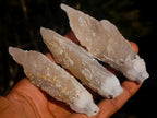 Natural Drusy Quartz Coated Spearhead Calcite Crystals x 12 From Albert's Mountain, Lesotho - Toprock Gemstones and Minerals 