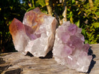 Natural Jacaranda Amethyst Crystal Clusters with Limonite Coating x 2 From Zambia - Toprock Gemstones and Minerals 