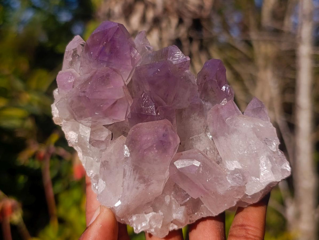 Natural Jacaranda Amethyst Crystal Clusters with Limonite Coating x 2 From Zambia - Toprock Gemstones and Minerals 