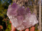 Natural Jacaranda Amethyst Crystal Clusters with Limonite Coating x 2 From Zambia - Toprock Gemstones and Minerals 