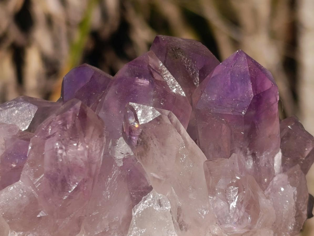 Natural Jacaranda Amethyst Crystal Clusters with Limonite Coating x 2 From Zambia - Toprock Gemstones and Minerals 