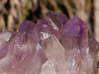 Natural Jacaranda Amethyst Crystal Clusters with Limonite Coating x 2 From Zambia - Toprock Gemstones and Minerals 