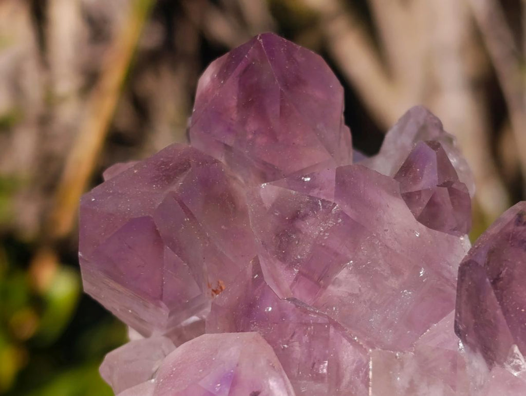 Natural Jacaranda Amethyst Crystal Clusters with Limonite Coating x 2 From Zambia - Toprock Gemstones and Minerals 