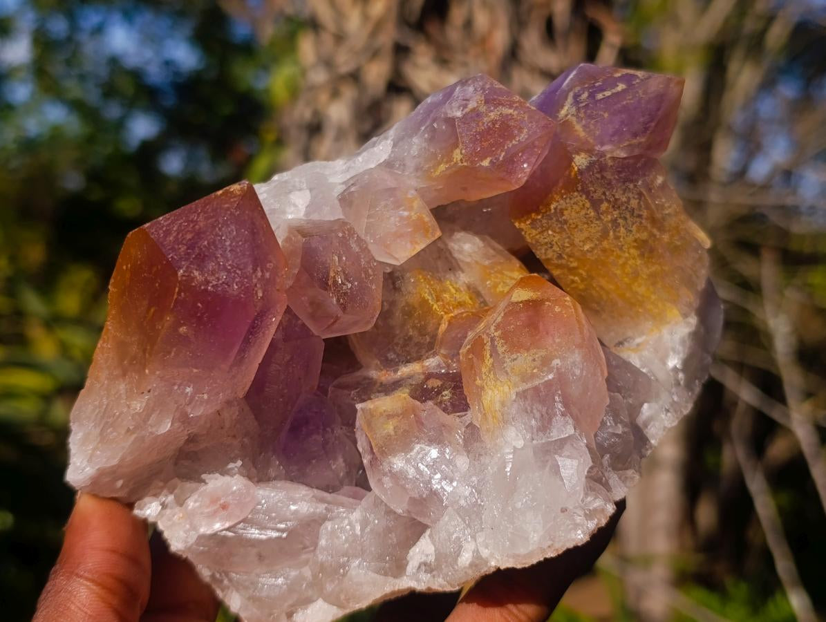 Natural Jacaranda Amethyst Crystal Clusters with Limonite Coating x 2 From Zambia - Toprock Gemstones and Minerals 