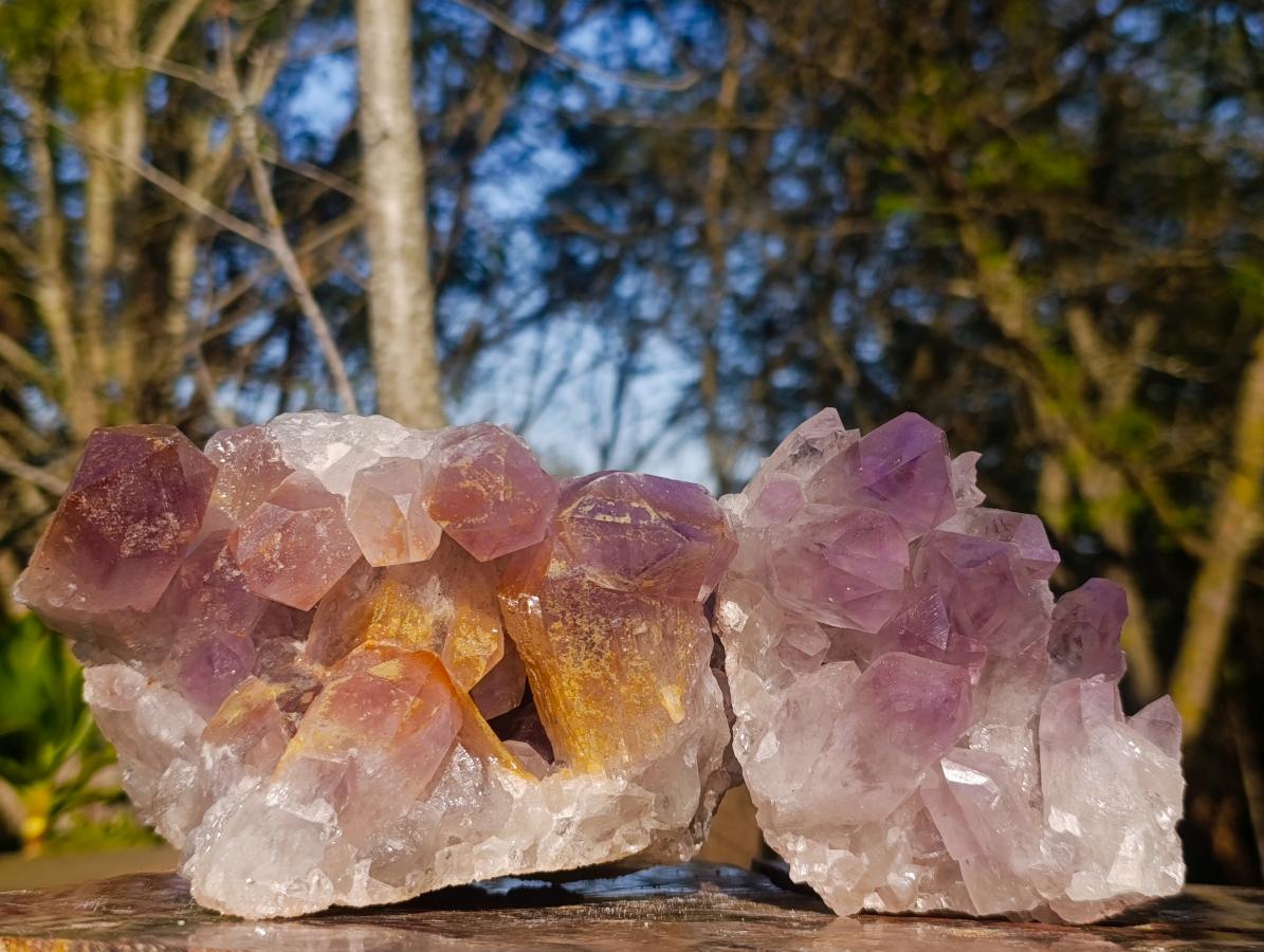 Natural Jacaranda Amethyst Crystal Clusters with Limonite Coating x 2 From Zambia - Toprock Gemstones and Minerals 