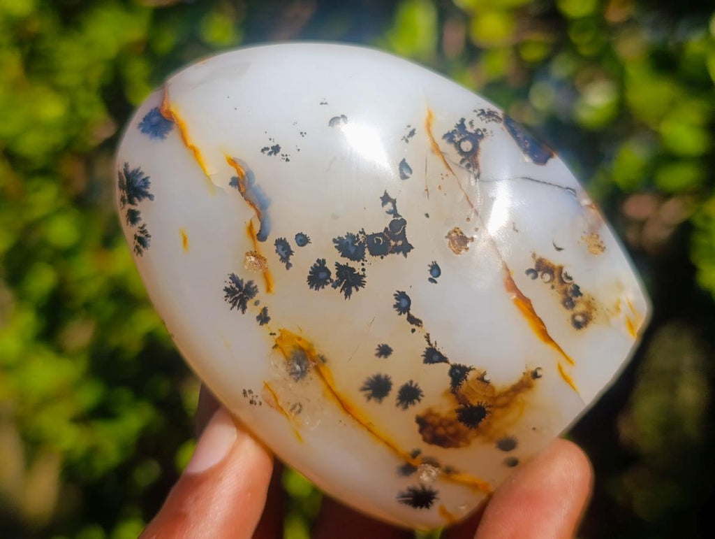 Polished Dendritic Agate Standing Free Forms x 5 From Moralambo, Madagascar - Toprock Gemstones and Minerals 