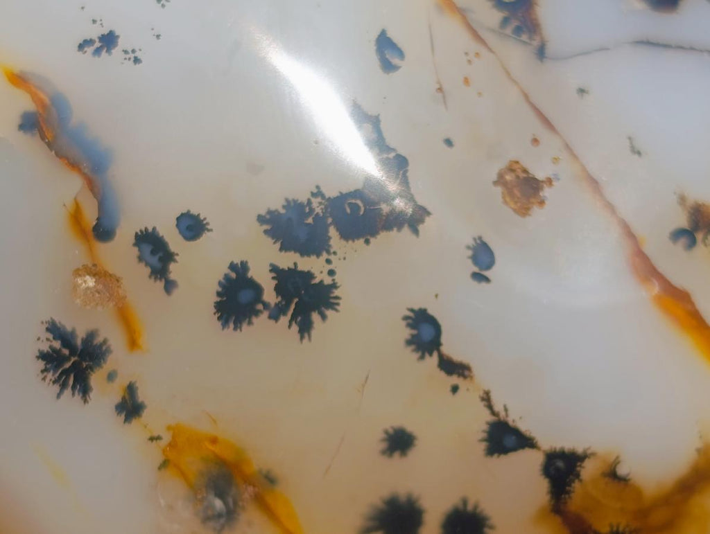 Polished Dendritic Agate Standing Free Forms x 5 From Moralambo, Madagascar - Toprock Gemstones and Minerals 