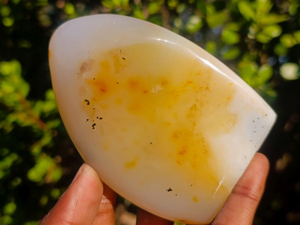 Polished Dendritic Agate Standing Free Forms x 5 From Moralambo, Madagascar - Toprock Gemstones and Minerals 