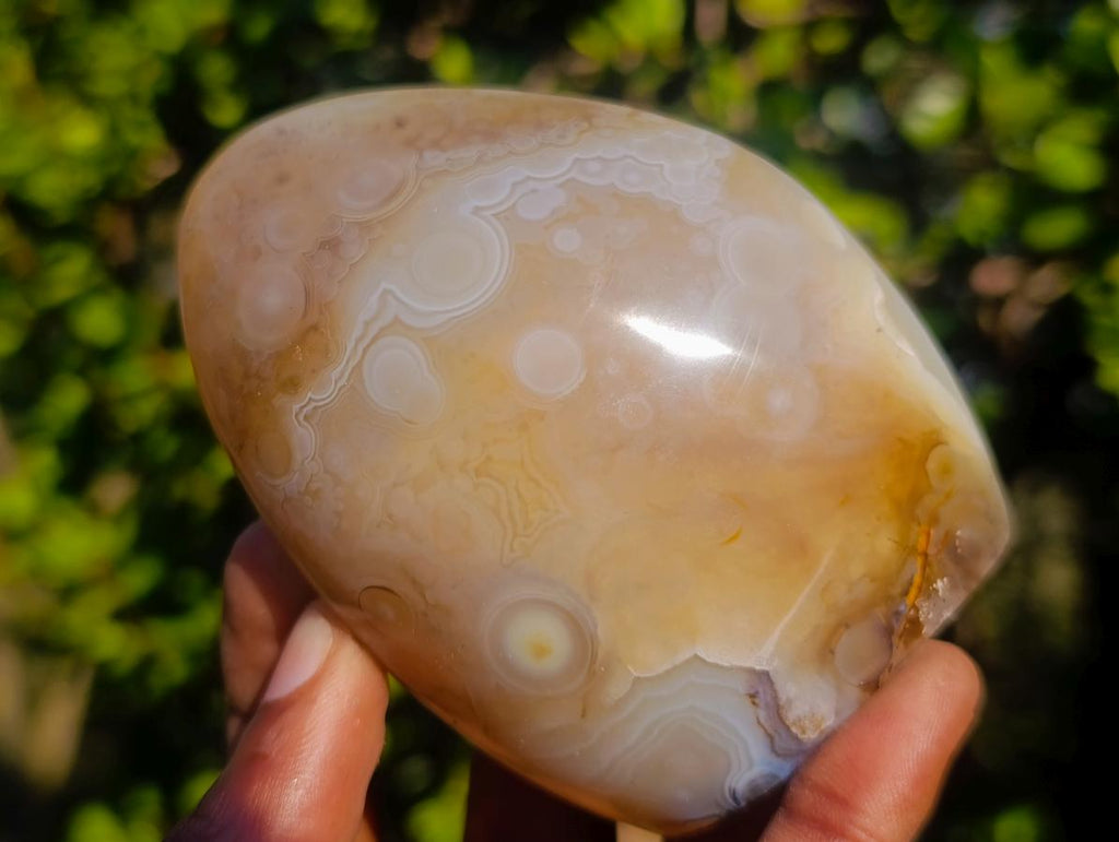 Polished Dendritic Agate Standing Free Forms x 5 From Moralambo, Madagascar - Toprock Gemstones and Minerals 