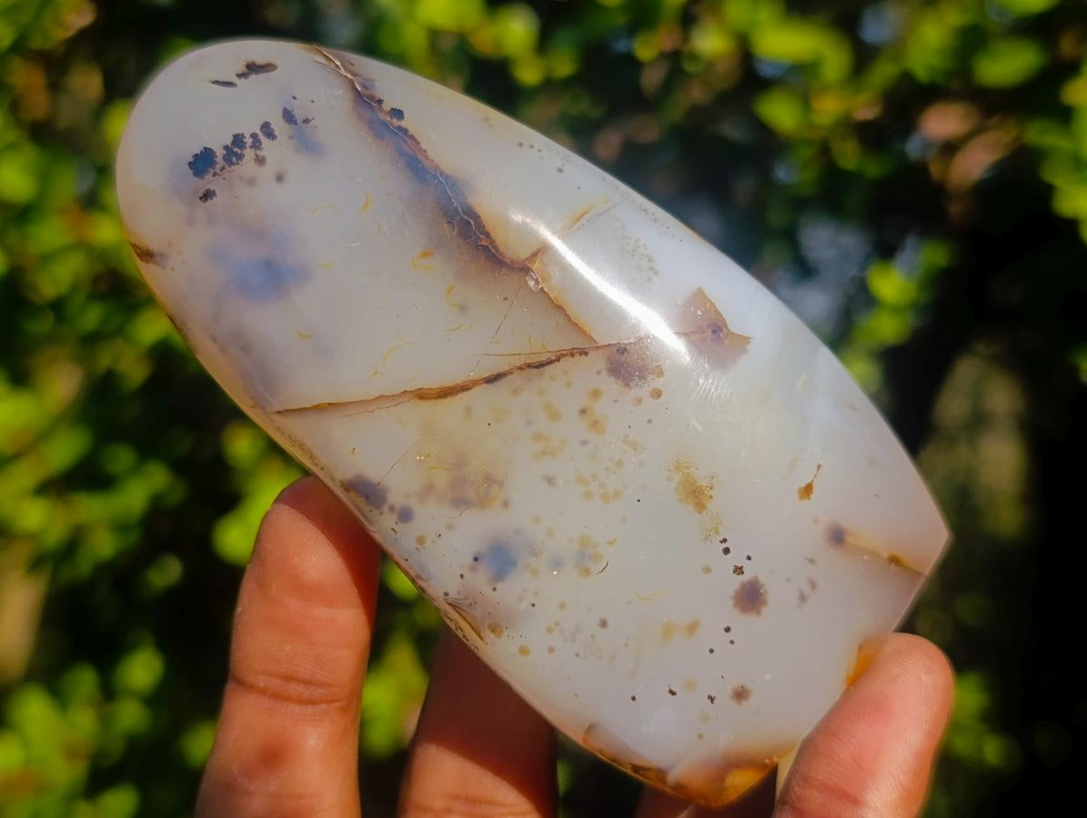 Polished Dendritic Agate Standing Free Forms x 5 From Moralambo, Madagascar - Toprock Gemstones and Minerals 