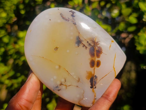 Polished Dendritic Agate Standing Free Forms x 5 From Moralambo, Madagascar - Toprock Gemstones and Minerals 