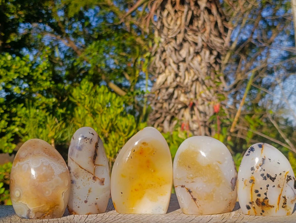 Polished Dendritic Agate Standing Free Forms x 5 From Moralambo, Madagascar - Toprock Gemstones and Minerals 