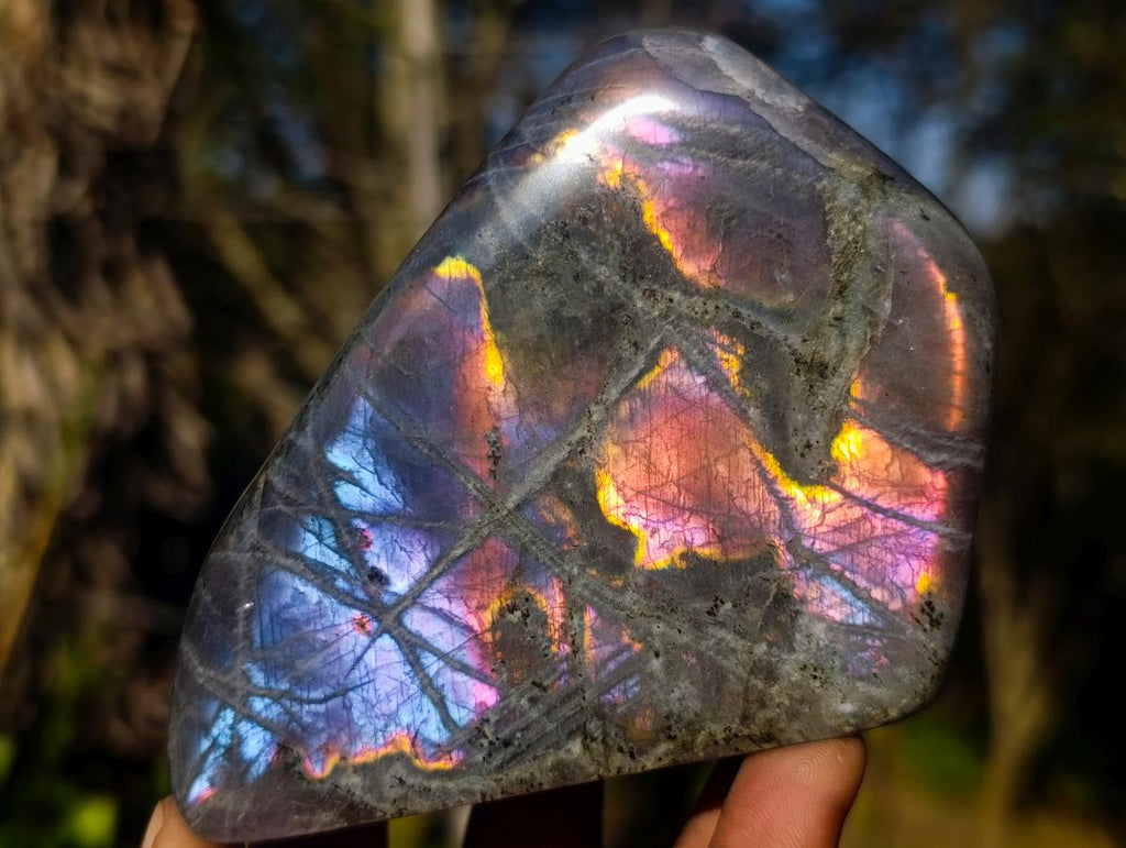 Polished Rare Purple Sunset Flash Labradorite Standing Display Pieces x 3 From Madagascar - Toprock Gemstones and Minerals 