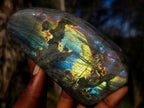 Polished Rare Purple Sunset Flash Labradorite Standing Display Pieces x 3 From Madagascar - Toprock Gemstones and Minerals 