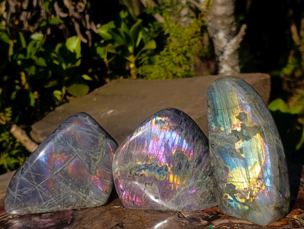 Polished Rare Purple Sunset Flash Labradorite Standing Display Pieces x 3 From Madagascar - Toprock Gemstones and Minerals 