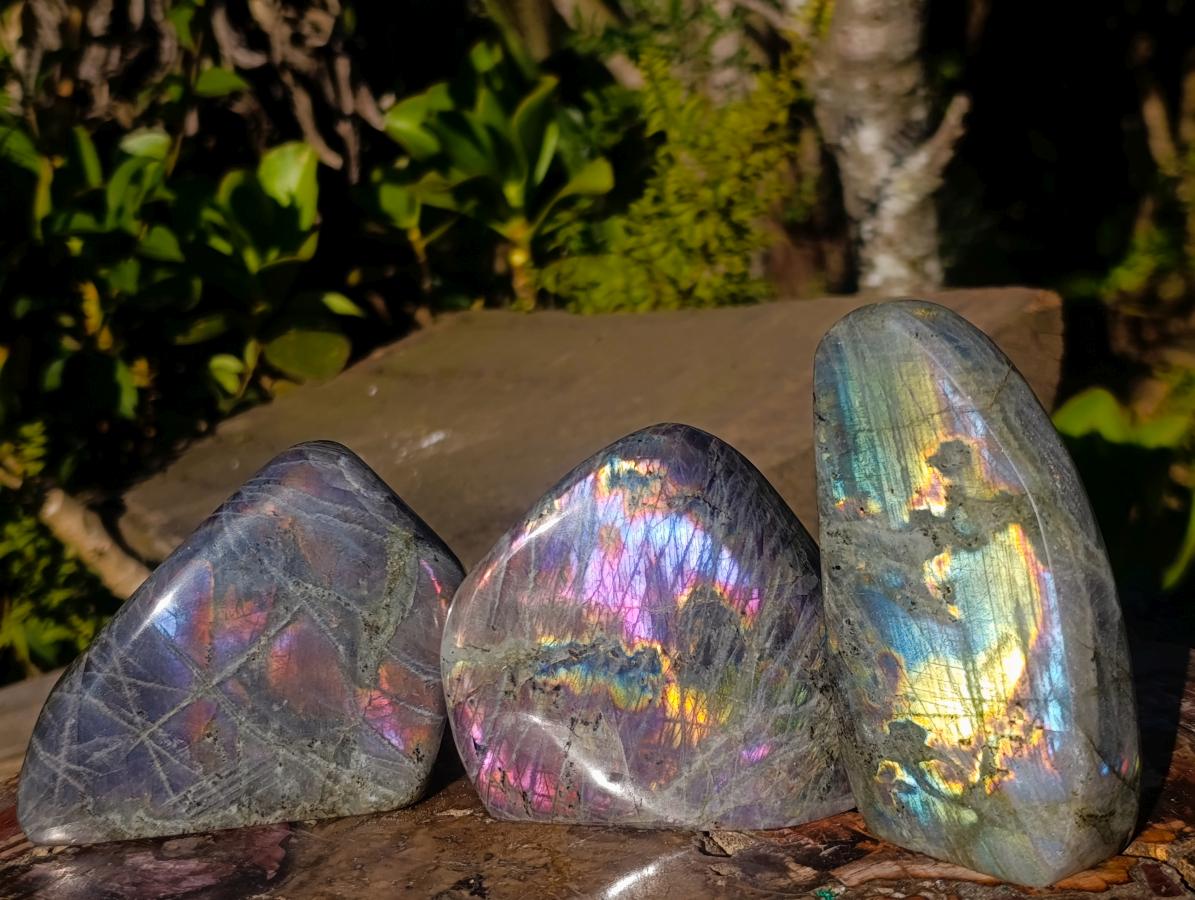 Polished Rare Purple Sunset Flash Labradorite Standing Display Pieces x 3 From Madagascar - Toprock Gemstones and Minerals 