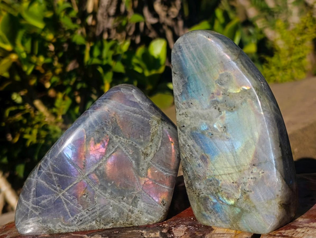 Polished Rare Purple Sunset Flash Labradorite Standing Display Pieces x 3 From Madagascar - Toprock Gemstones and Minerals 