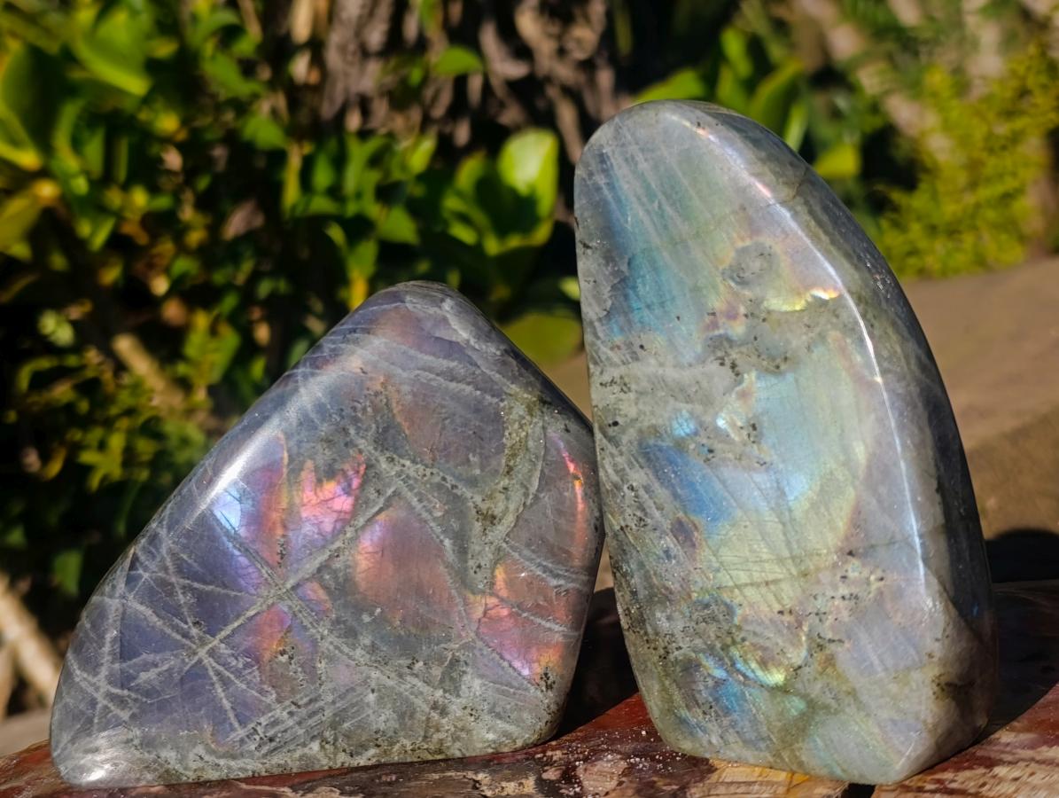 Polished Rare Purple Sunset Flash Labradorite Standing Display Pieces x 3 From Madagascar - Toprock Gemstones and Minerals 