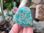 Polished Shattuckite Free Forms x 12 From Kaokoveld, Namibia - Toprock Gemstones and Minerals 