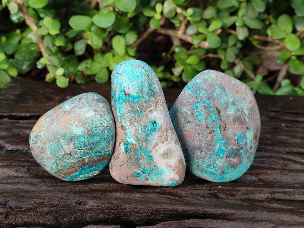 Polished Shattuckite Free Forms x 12 From Kaokoveld, Namibia - Toprock Gemstones and Minerals 
