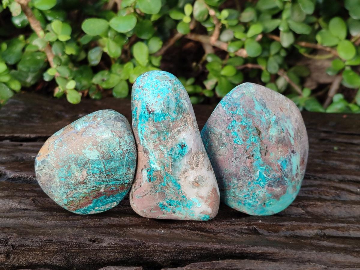 Polished Shattuckite Free Forms x 12 From Kaokoveld, Namibia - Toprock Gemstones and Minerals 