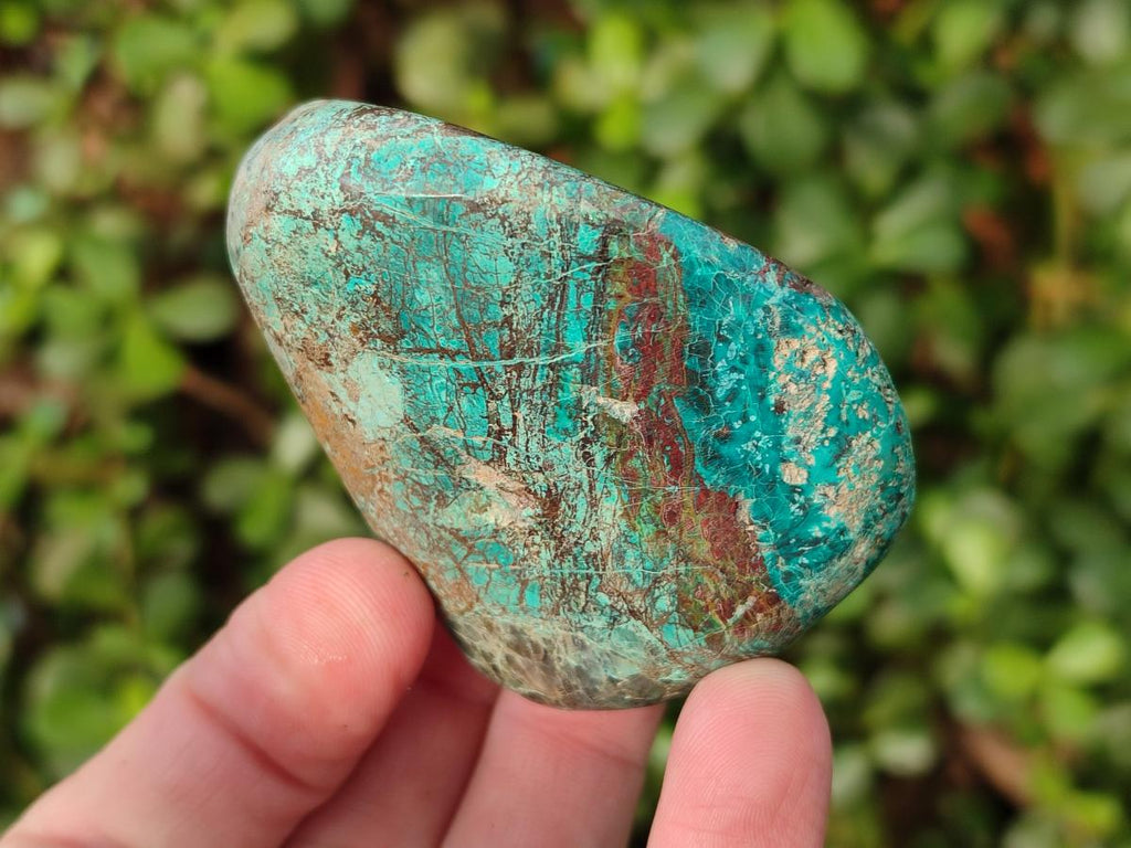 Polished Shattuckite Free Forms x 12 From Kaokoveld, Namibia - Toprock Gemstones and Minerals 