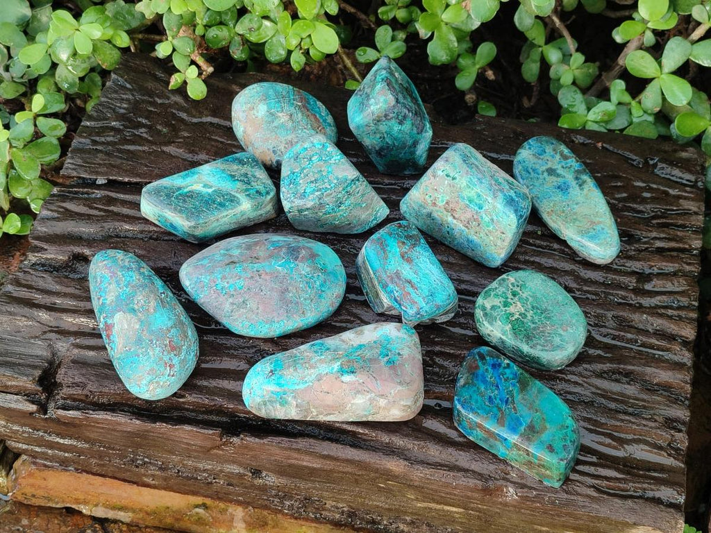 Polished Shattuckite Free Forms x 12 From Kaokoveld, Namibia - Toprock Gemstones and Minerals 