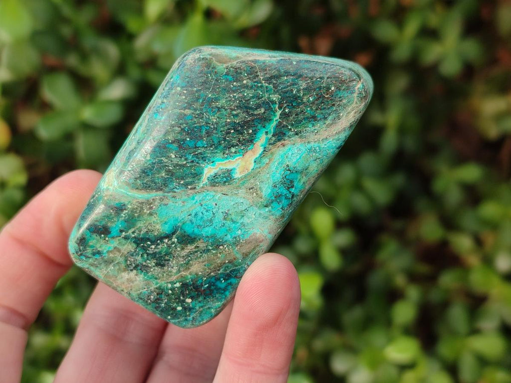 Polished Shattuckite Free Forms x 12 From Kaokoveld, Namibia - Toprock Gemstones and Minerals 