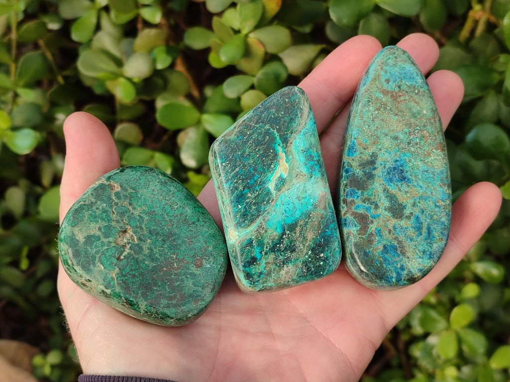 Polished Shattuckite Free Forms x 12 From Kaokoveld, Namibia - Toprock Gemstones and Minerals 