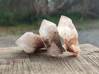 Natural Cascading "Anananas" Candle Quartz Crystals x 35 From Antsirabe, Madagascar - Toprock Gemstones and Minerals 