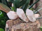 Natural Cascading "Anananas" Candle Quartz Crystals x 35 From Antsirabe, Madagascar - Toprock Gemstones and Minerals 