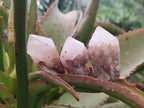 Natural Cascading "Anananas" Candle Quartz Crystals x 35 From Antsirabe, Madagascar - Toprock Gemstones and Minerals 