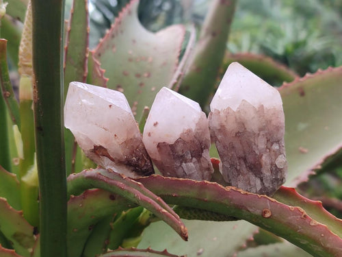 Natural Cascading "Anananas" Candle Quartz Crystals x 35 From Antsirabe, Madagascar - Toprock Gemstones and Minerals 