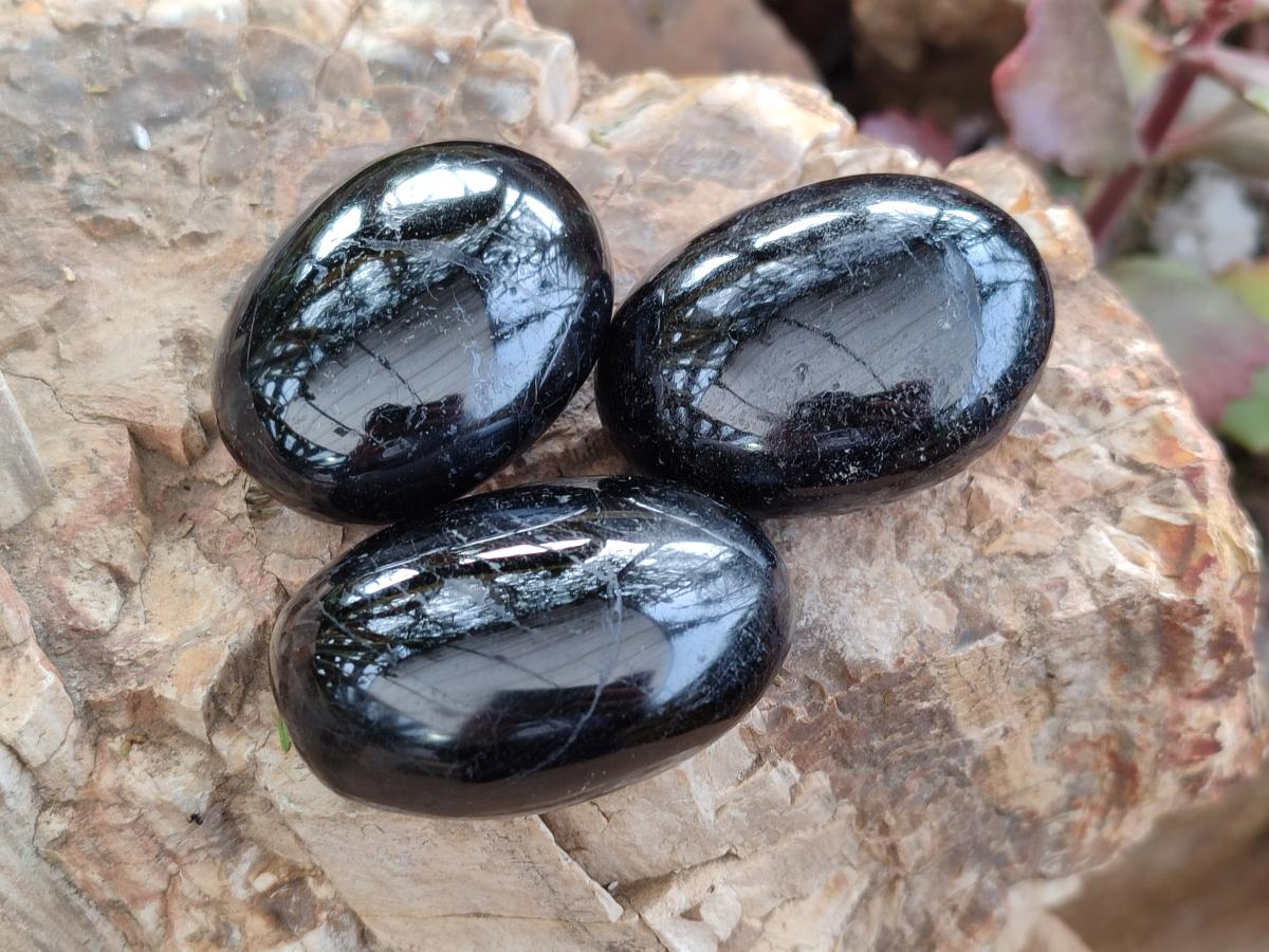 Polished Black Tourmaline Galets x 24 From Madagascar - Toprock Gemstones and Minerals 
