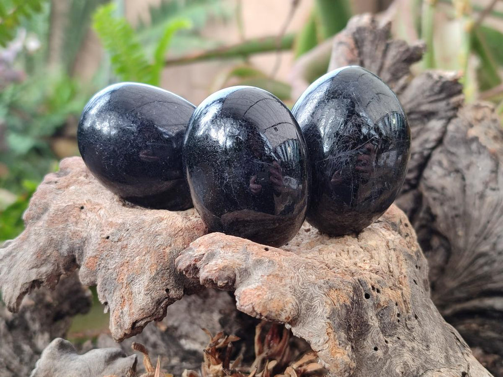 Polished Black Tourmaline Galets x 24 From Madagascar - Toprock Gemstones and Minerals 