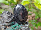 Polished Black Tourmaline Galets x 24 From Madagascar - Toprock Gemstones and Minerals 