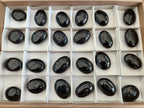 Polished Black Tourmaline Galets x 24 From Madagascar - Toprock Gemstones and Minerals 