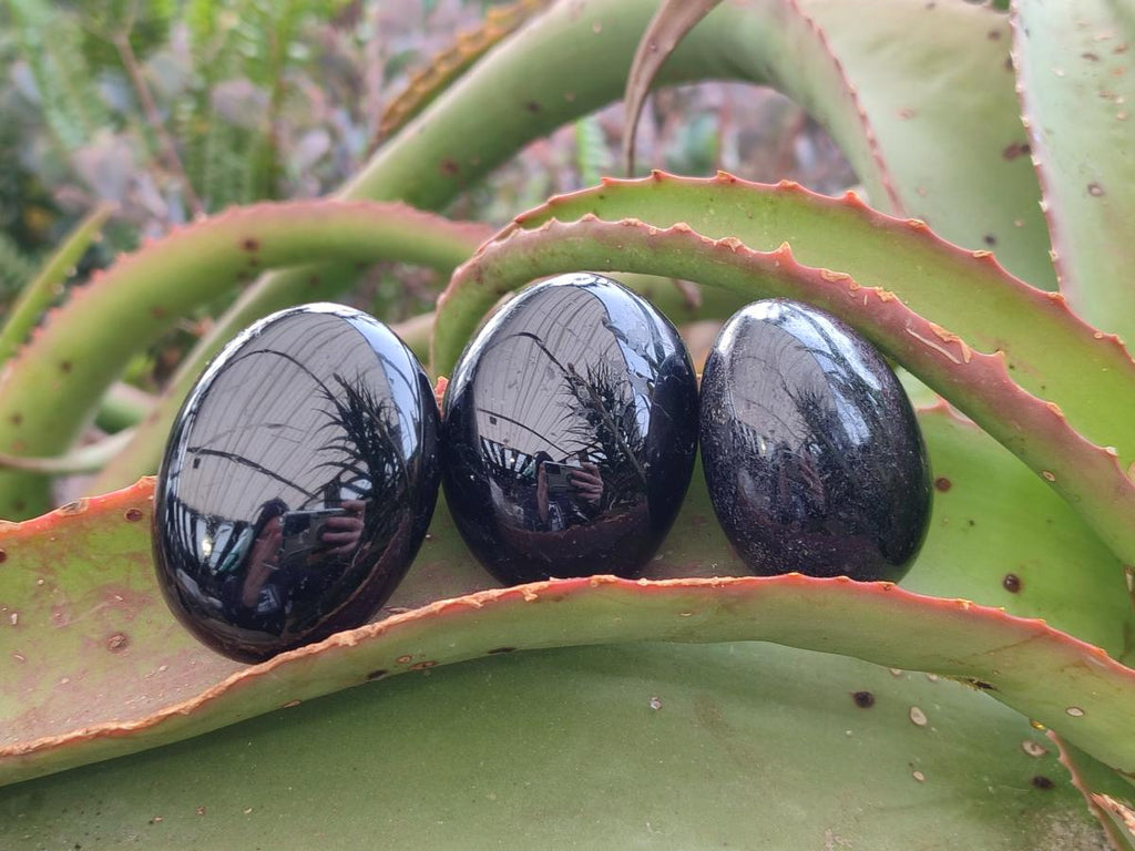 Polished Black Tourmaline Galets x 24 From Madagascar - Toprock Gemstones and Minerals 