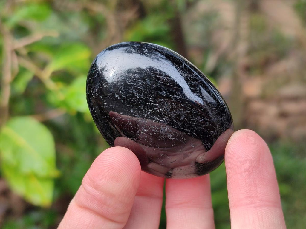 Polished Black Tourmaline Galets x 24 From Madagascar - Toprock Gemstones and Minerals 