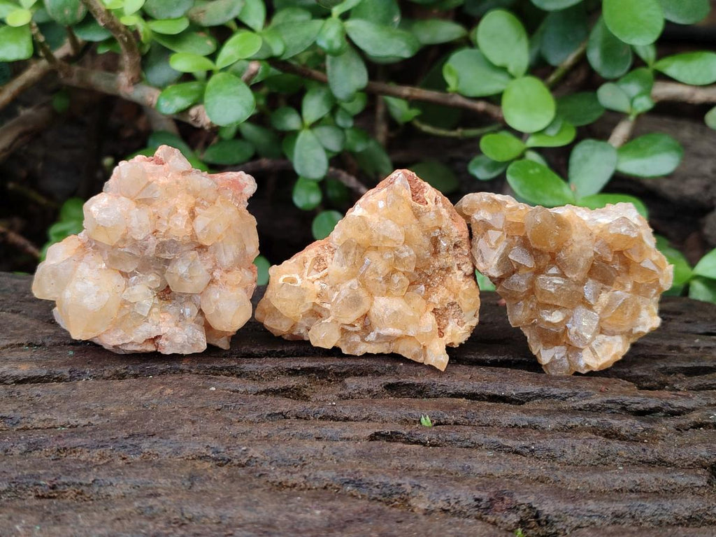 Natural Golden Limonite Quartz Crystal Cluster Plates x 35 From Solwezi, Zambia - Toprock Gemstones and Minerals 