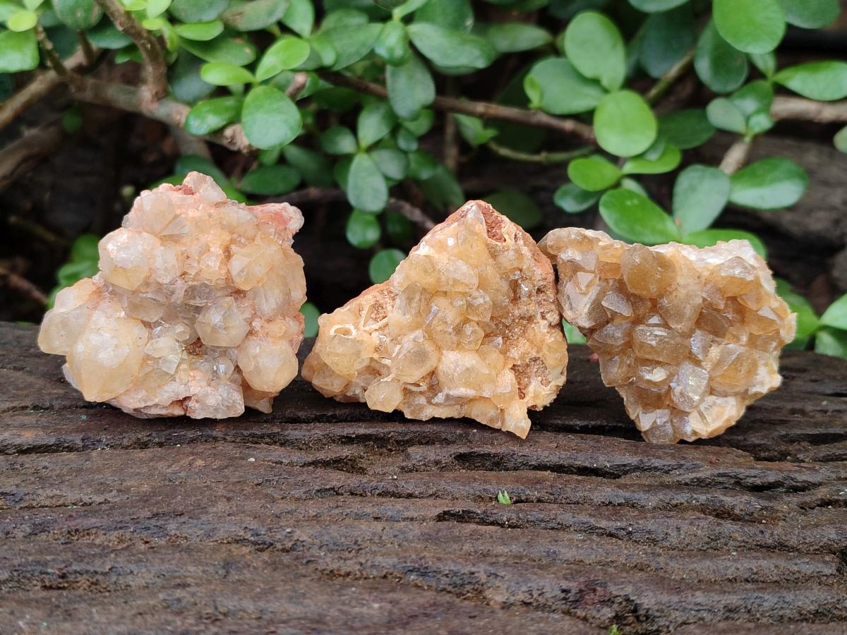 Natural Golden Limonite Quartz Crystal Cluster Plates x 35 From Solwezi, Zambia - Toprock Gemstones and Minerals 