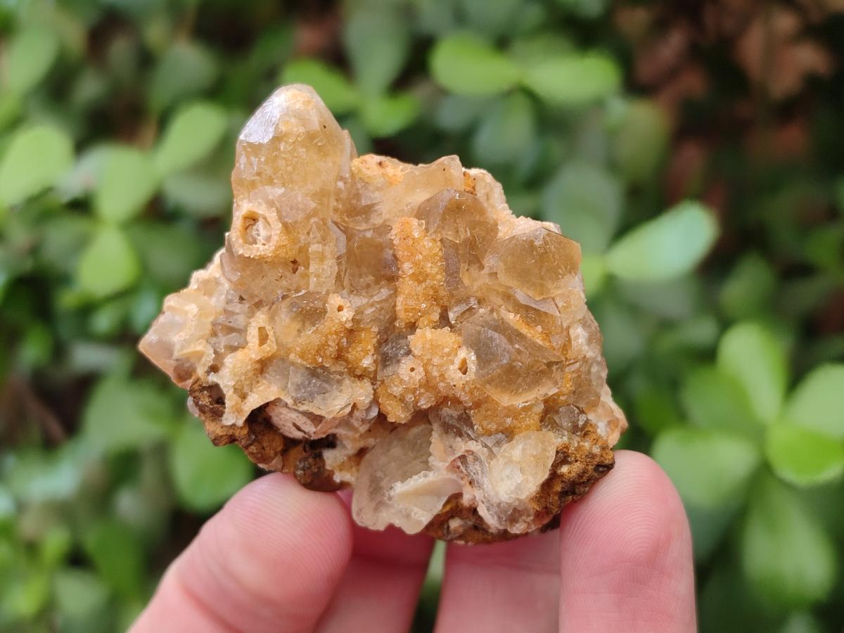 Natural Golden Limonite Quartz Crystal Cluster Plates x 35 From Solwezi, Zambia - Toprock Gemstones and Minerals 