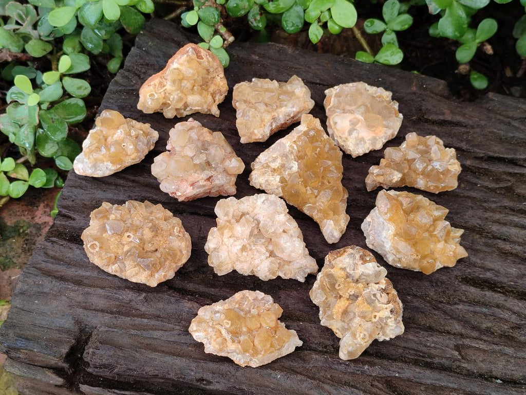 Natural Golden Limonite Quartz Crystal Cluster Plates x 35 From Solwezi, Zambia - Toprock Gemstones and Minerals 