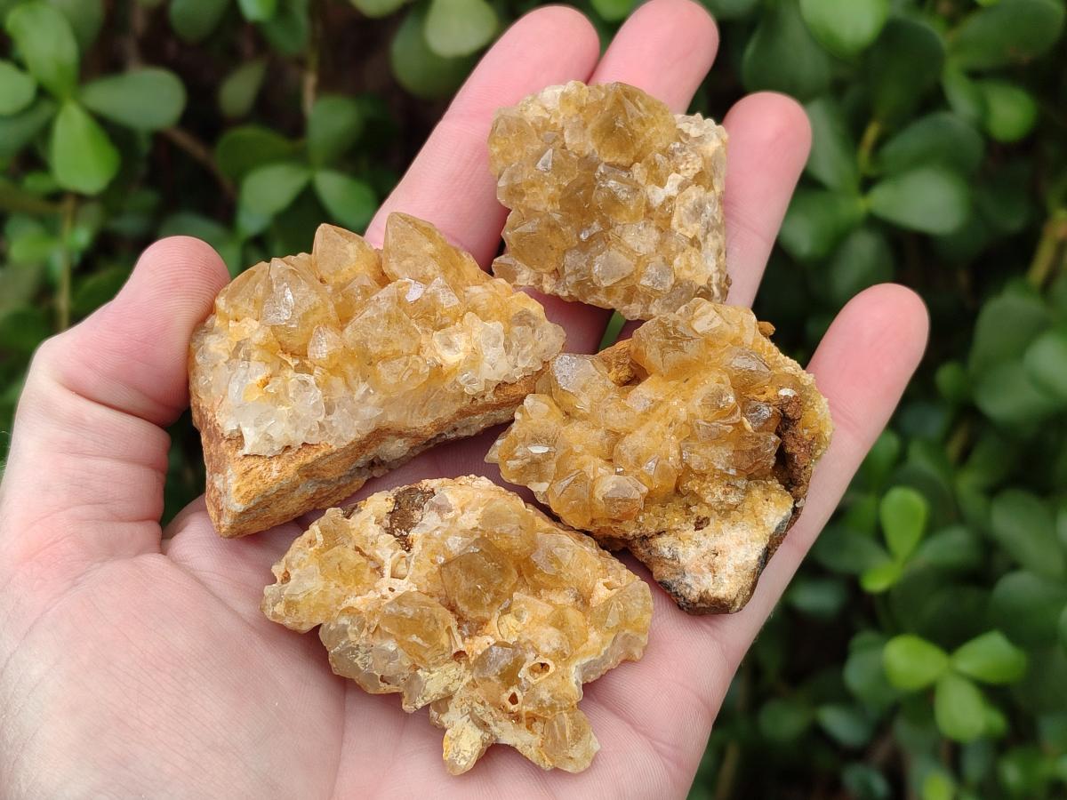 Natural Golden Limonite Quartz Crystal Cluster Plates x 35 From Solwezi, Zambia - Toprock Gemstones and Minerals 