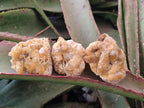 Natural Golden Limonite Quartz Crystal Cluster Plates x 35 From Solwezi, Zambia - Toprock Gemstones and Minerals 