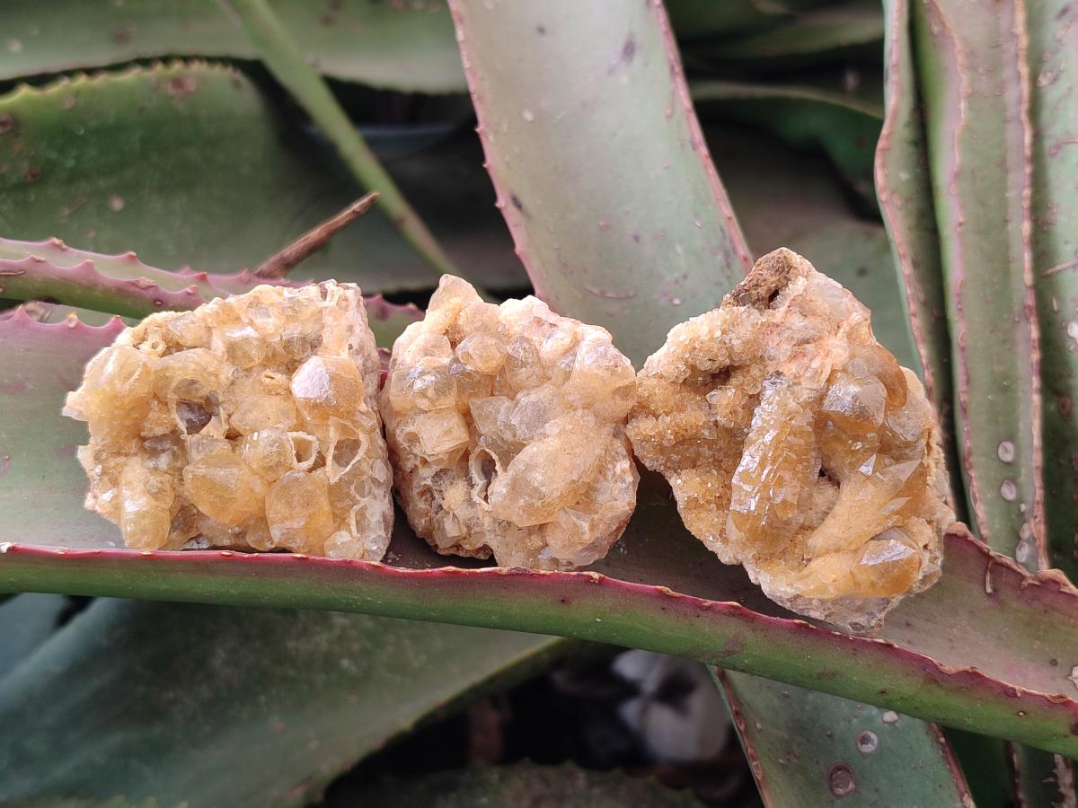 Natural Golden Limonite Quartz Crystal Cluster Plates x 35 From Solwezi, Zambia - Toprock Gemstones and Minerals 